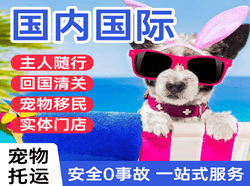 沈阳空运国际宠物托运 【国